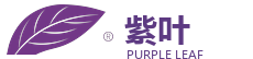 紫叶 PURPLE LEAF